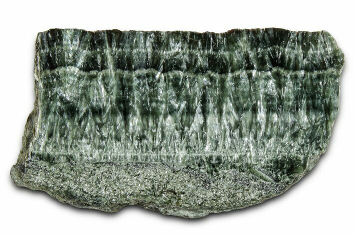 Polished Seraphinite Slab - Korshunovkiy Mine, Siberia #354291